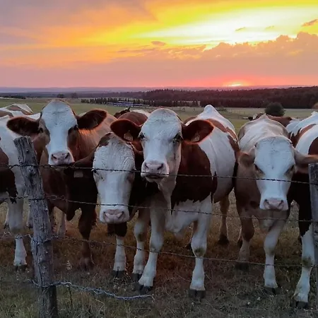 Bed & Breakfast D'hotes Les Portes De La Saone Viomenil