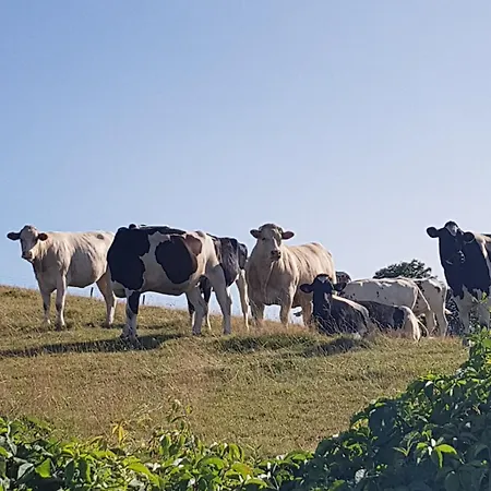 D'hotes Les Portes De La Saone 3*
