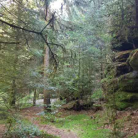 D'hotes Les Portes De La Saone Bed & Breakfast 3*