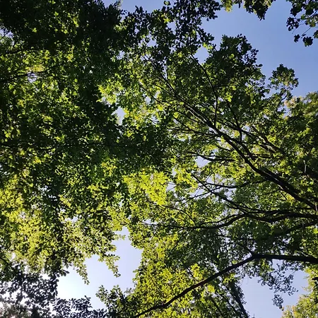 D'hotes Les Portes De La Saone Bed & Breakfast Viomenil