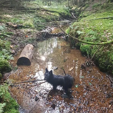 Bed & Breakfast D'hotes Les Portes De La Saone Viomenil