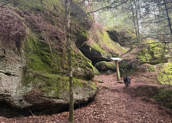 D'hotes Les Portes De La Saone 3* Viomenil