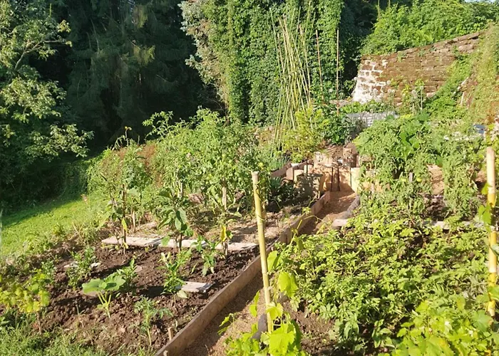 D'hotes Les Portes De La Saone 3* Viomenil