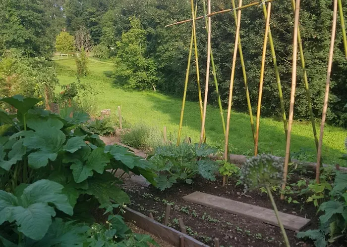 Bed & Breakfast D'hotes Les Portes De La Saone Viomenil