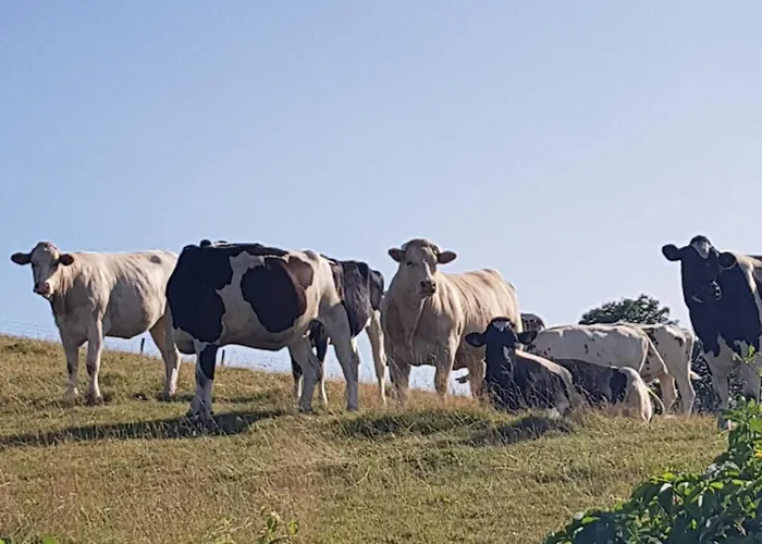 D'hotes Les Portes De La Saone 3*