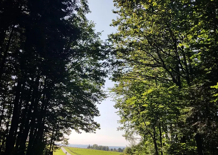 D'hotes Les Portes De La Saone 3*