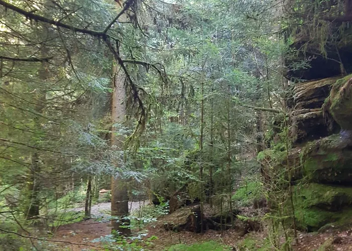 D'hotes Les Portes De La Saone Bed & Breakfast 3*