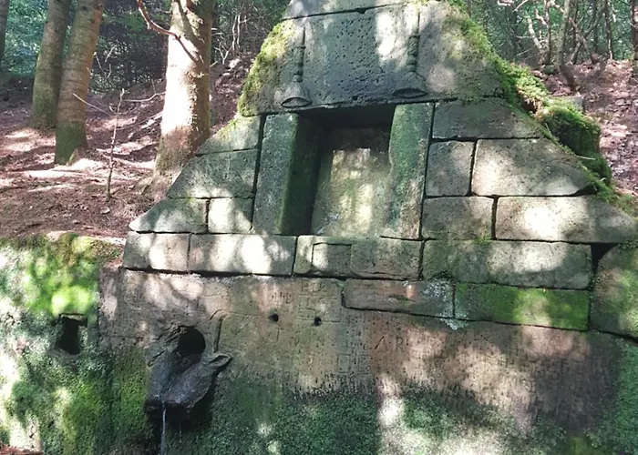 Bed & Breakfast D'hotes Les Portes De La Saone Viomenil