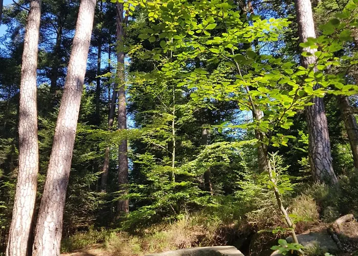 D'hotes Les Portes De La Saone 3*