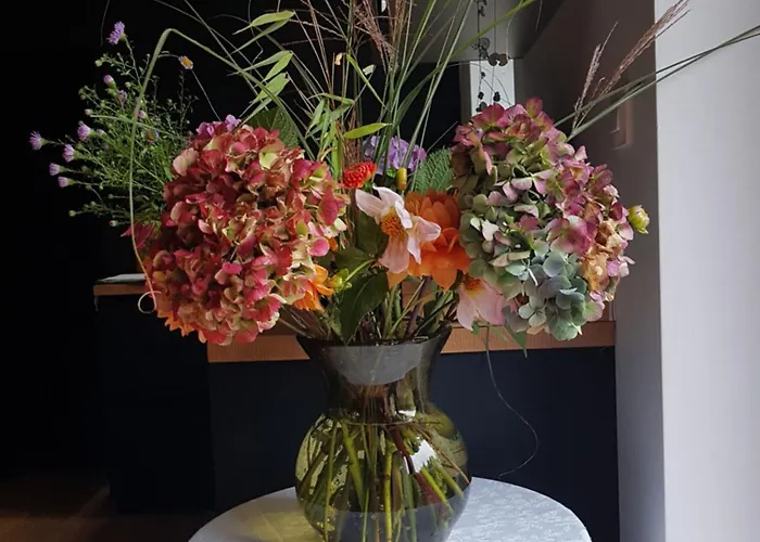 D'hotes Les Portes De La Saone 3* Viomenil